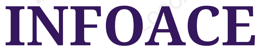 INFOACE EXPERTS PRIVATE LIMITED